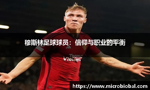 BB贝博登录入口